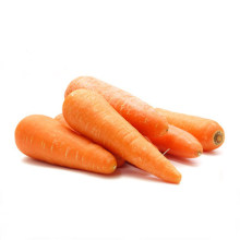 2021 New Crop Best Price Chinese Wholesale fresh vegetables carrots other fresh vegetables fresh carrots